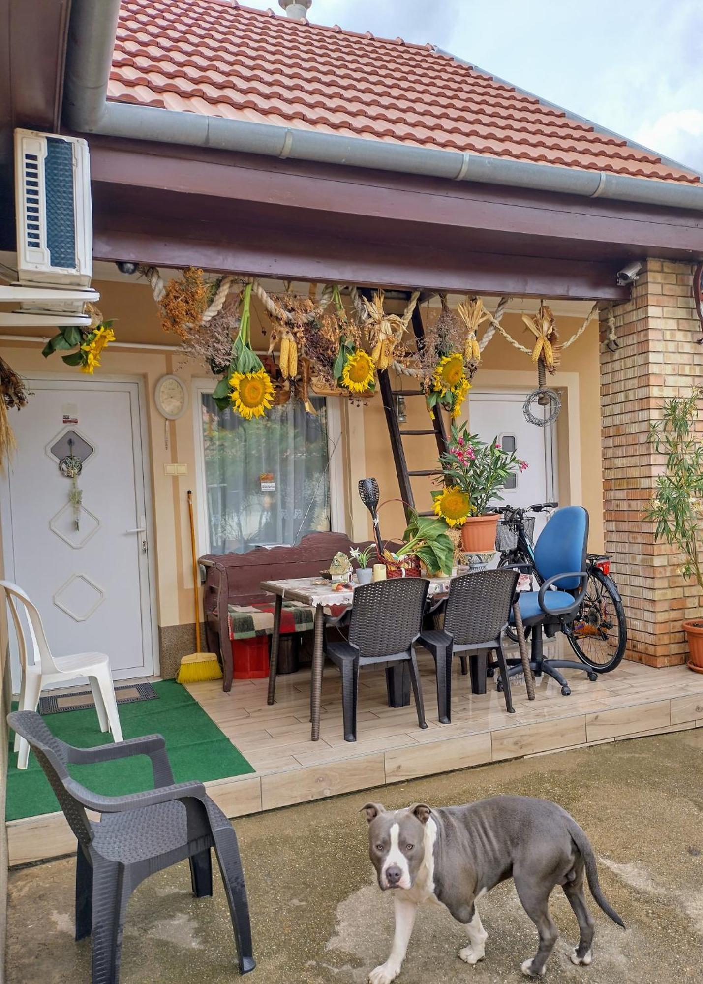 Bundik Vendeghaz Apartment Berettyoujfalu Luaran gambar