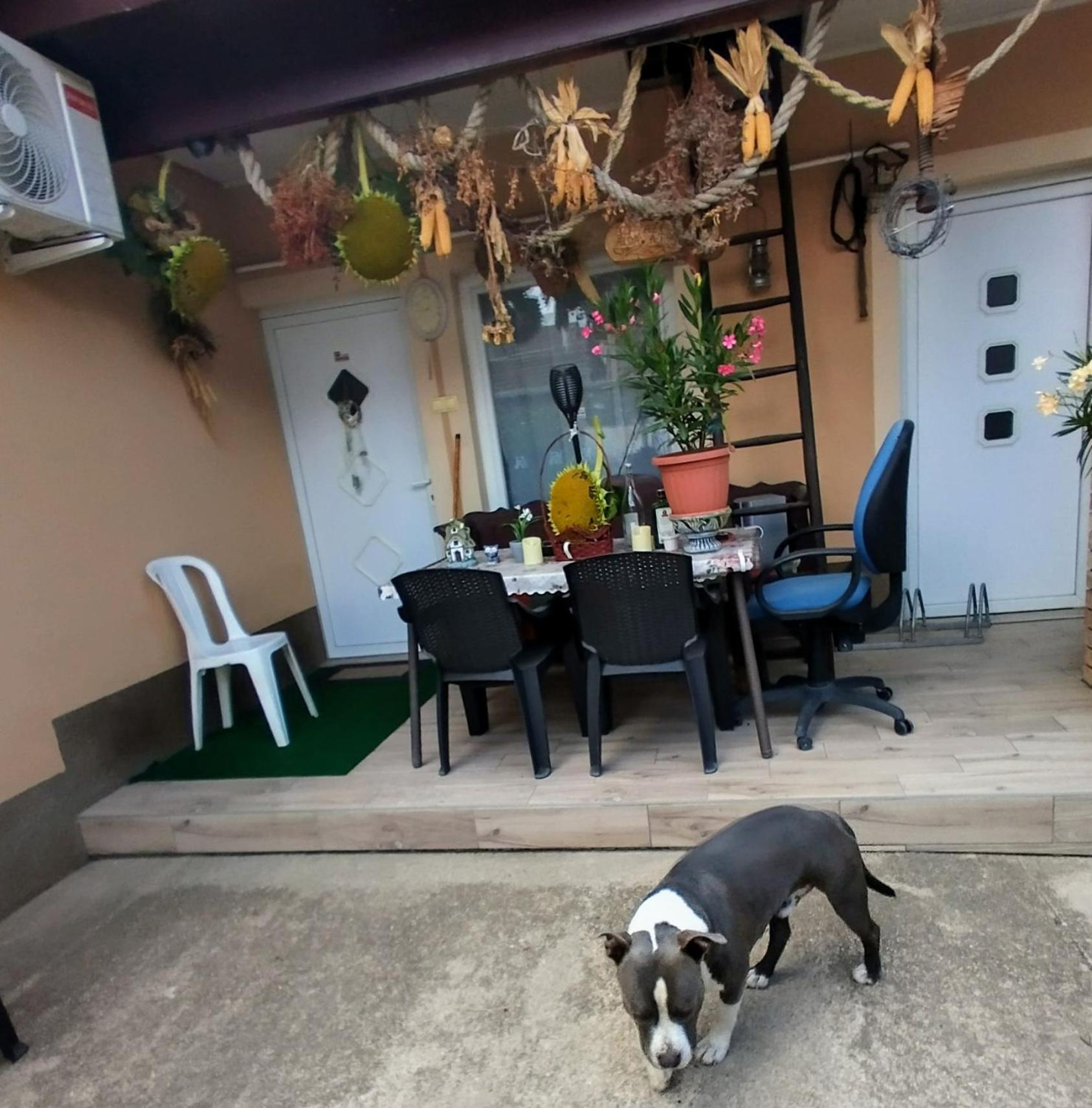 Bundik Vendeghaz Apartment Berettyoujfalu Luaran gambar